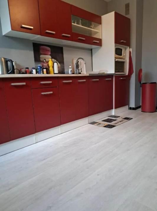Magnifique Appartement Plein Sud 60 M Carre Limoges Dış mekan fotoğraf
